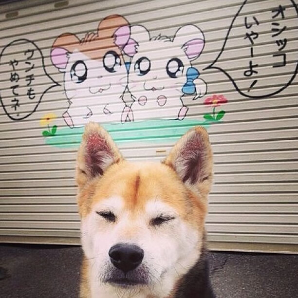 【战术解析】教练的策略如何赢得比赛,教练技术的四个步骤