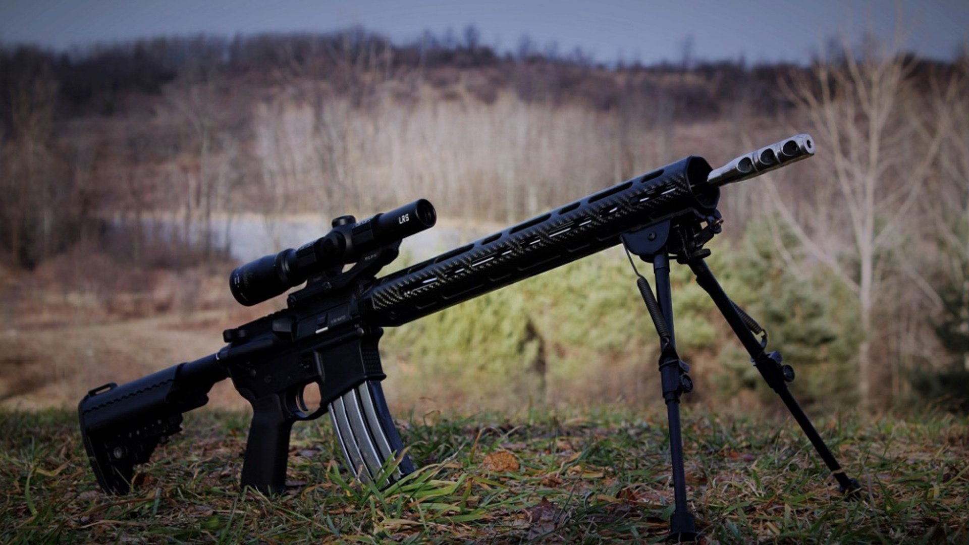 九游网页版官网-伊朗选手成功卫冕男子速度攀岩金牌，伊朗处死摔跤冠军