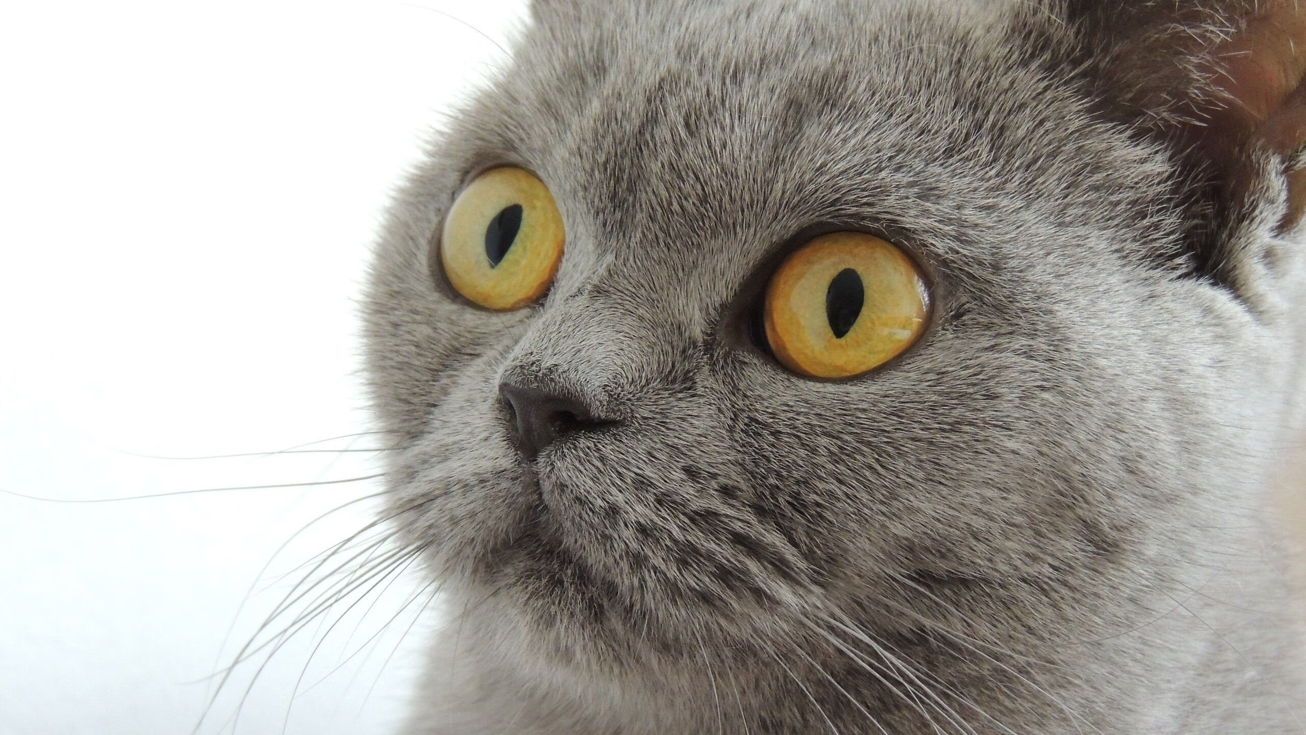 九游sports-本轮最耀眼：哪位球员拿下“全场最佳”！，全场最佳选手