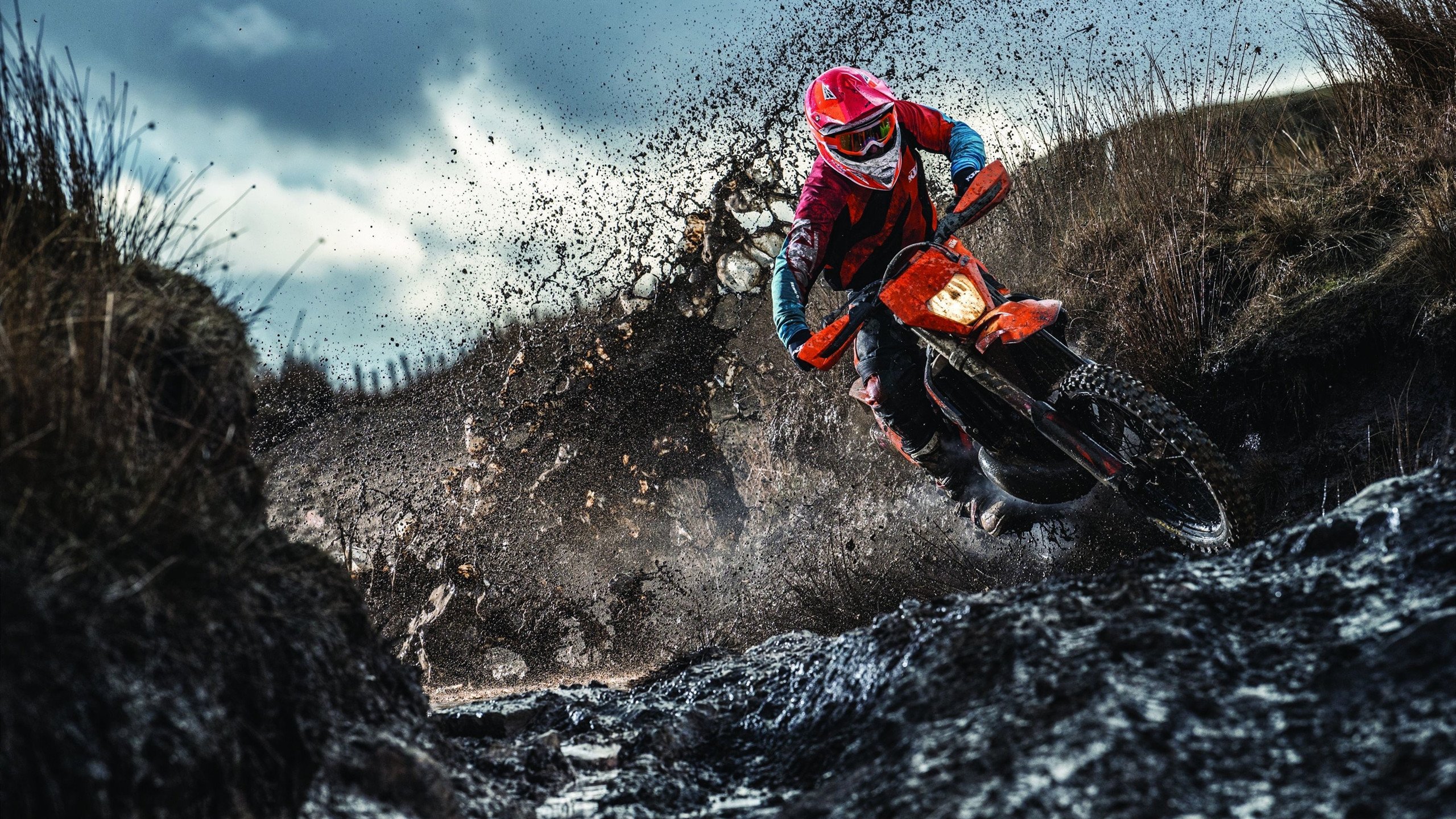 绿色能源技术推广,F1领跑,推动绿色能源