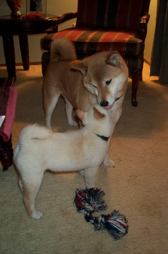 英雄本色:比赛中最具英雄气概的瞬间,英雄本色指什么