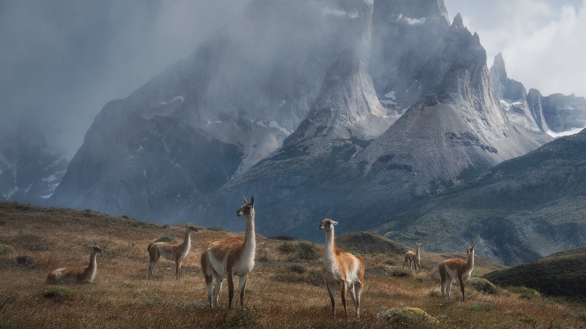 九游app下载中心-运动员坚持训练的动人故事，运动员坚持训练的例子
