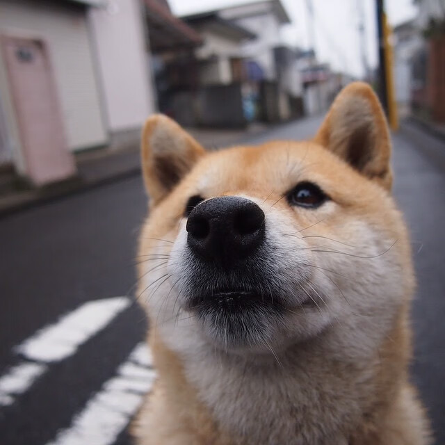 阿根廷时隔20年再夺奥运金牌,阿根廷队奥运会