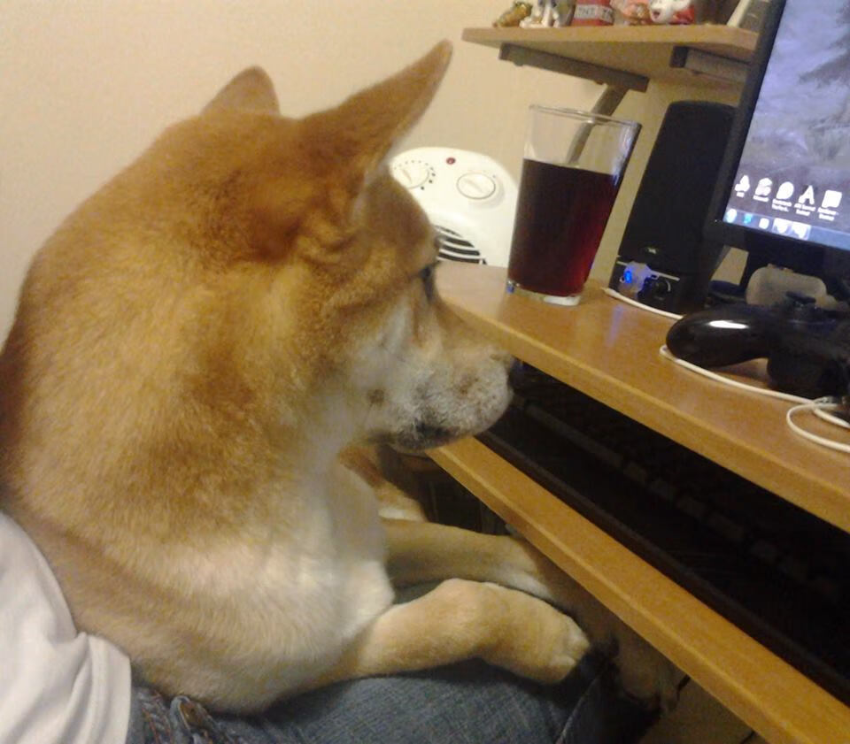 AC米兰客场-小胜桑普多利亚,哈基米进球,ac米兰vs桑普比分预测