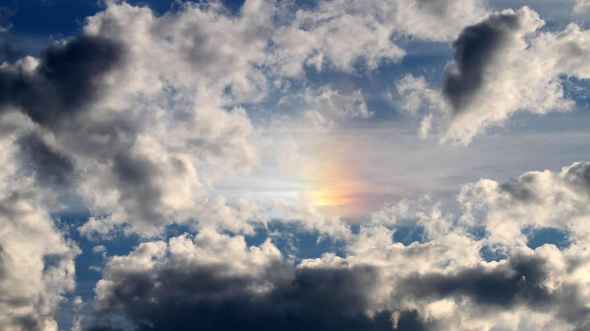 勇士主教练晒训练幕后花絮 备战做足功课,勇士总教练