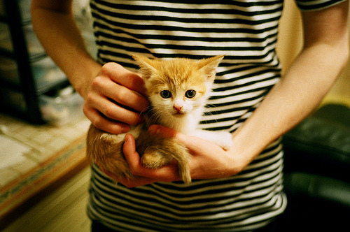 堡垒之夜新增武器引热议,堡垒之夜所有武器