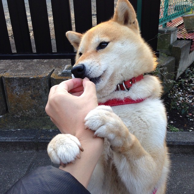 九游9游-山东高速球队关键时刻表现冷静，山东高速男篮吧 百度贴吧