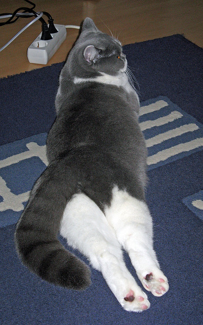 九游娱乐(jiuyou)官网-独行侠翻盘勇士，抢七大战中东契奇锁死对手，独行侠选中东契奇