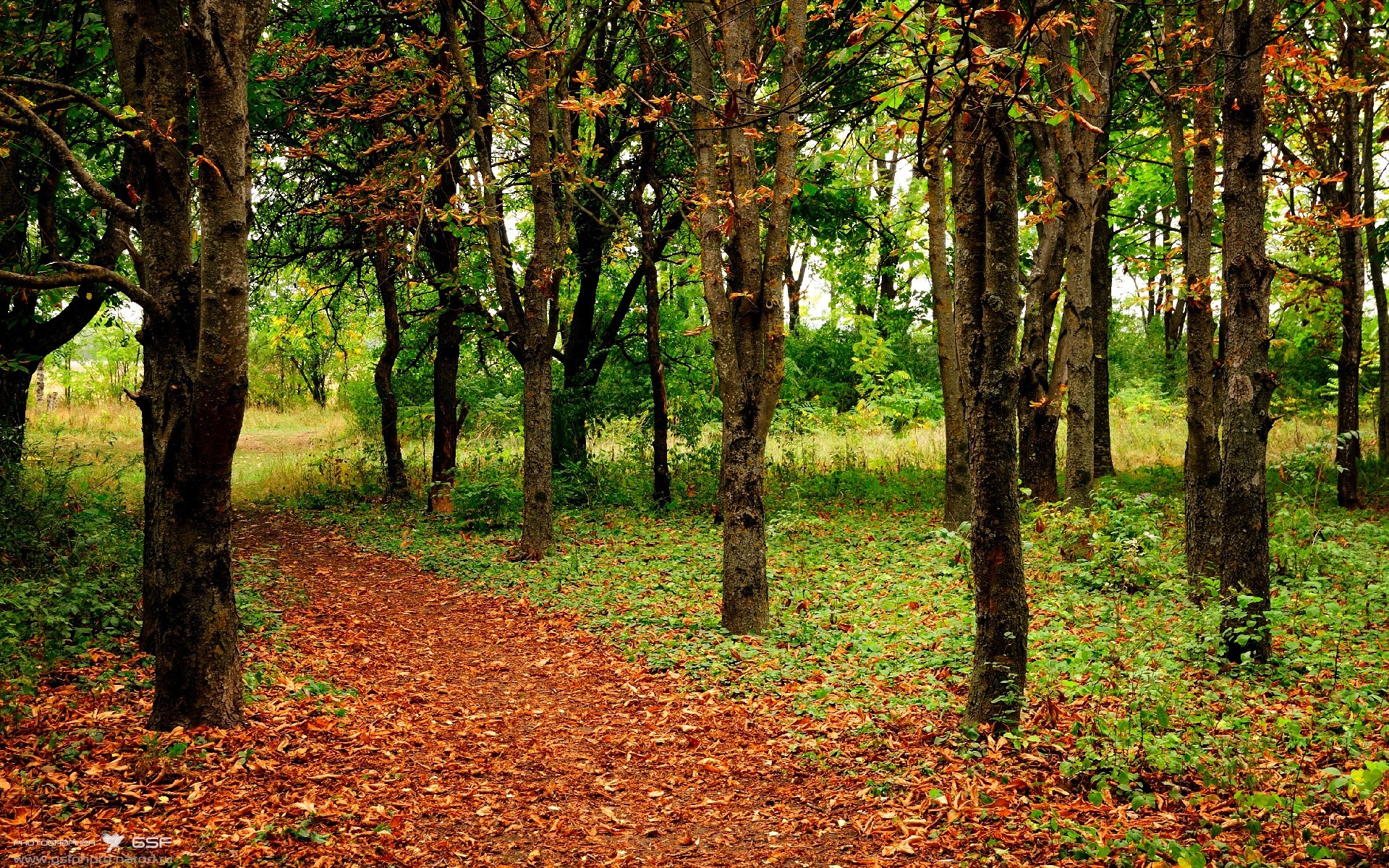 球场下雪太大,瑞士球员主动帮裁判扫线,瑞士球赛