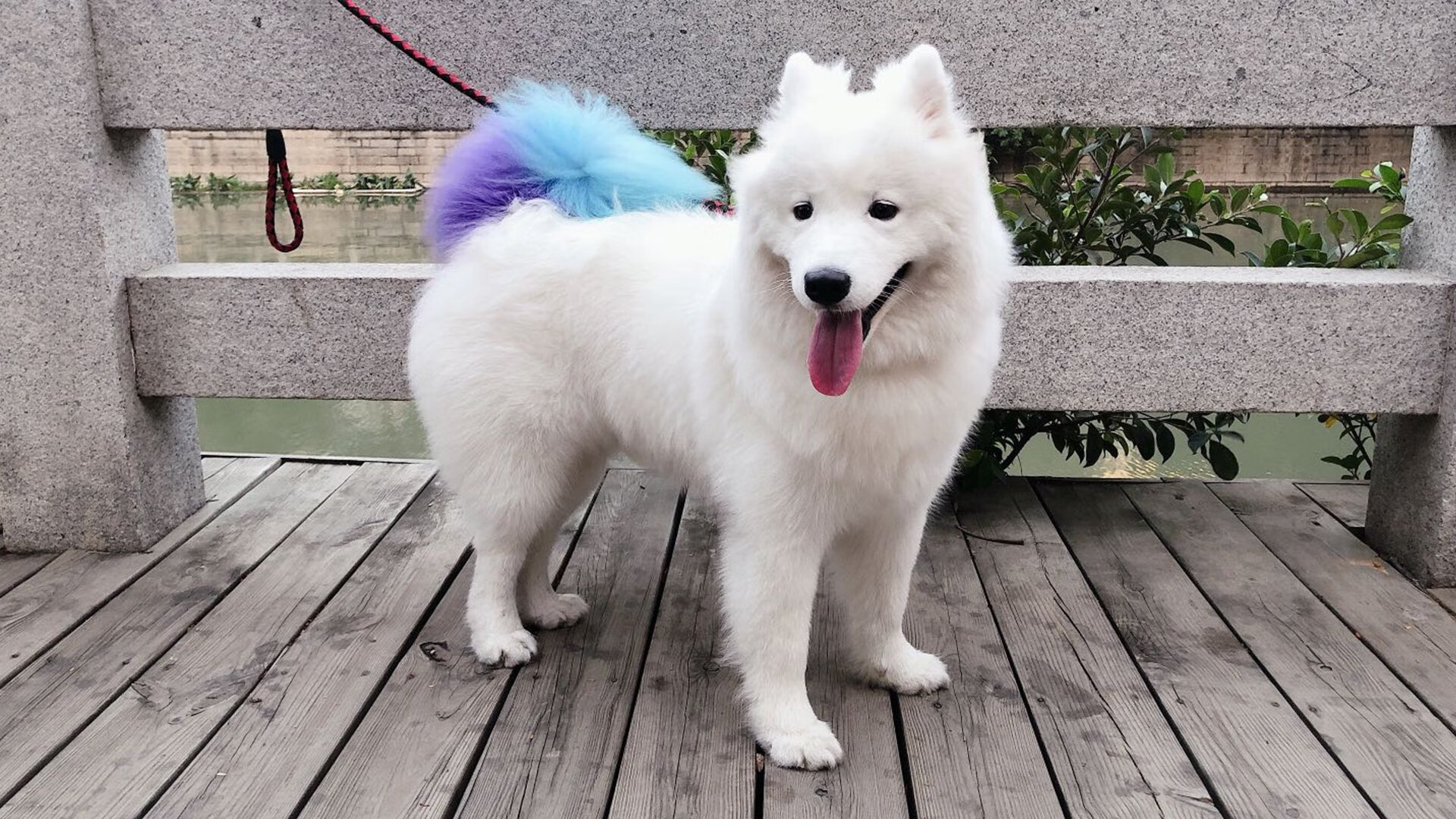 皇马中场疲软!客场遭逢败局,形势严峻,皇马中场有哪些巨星