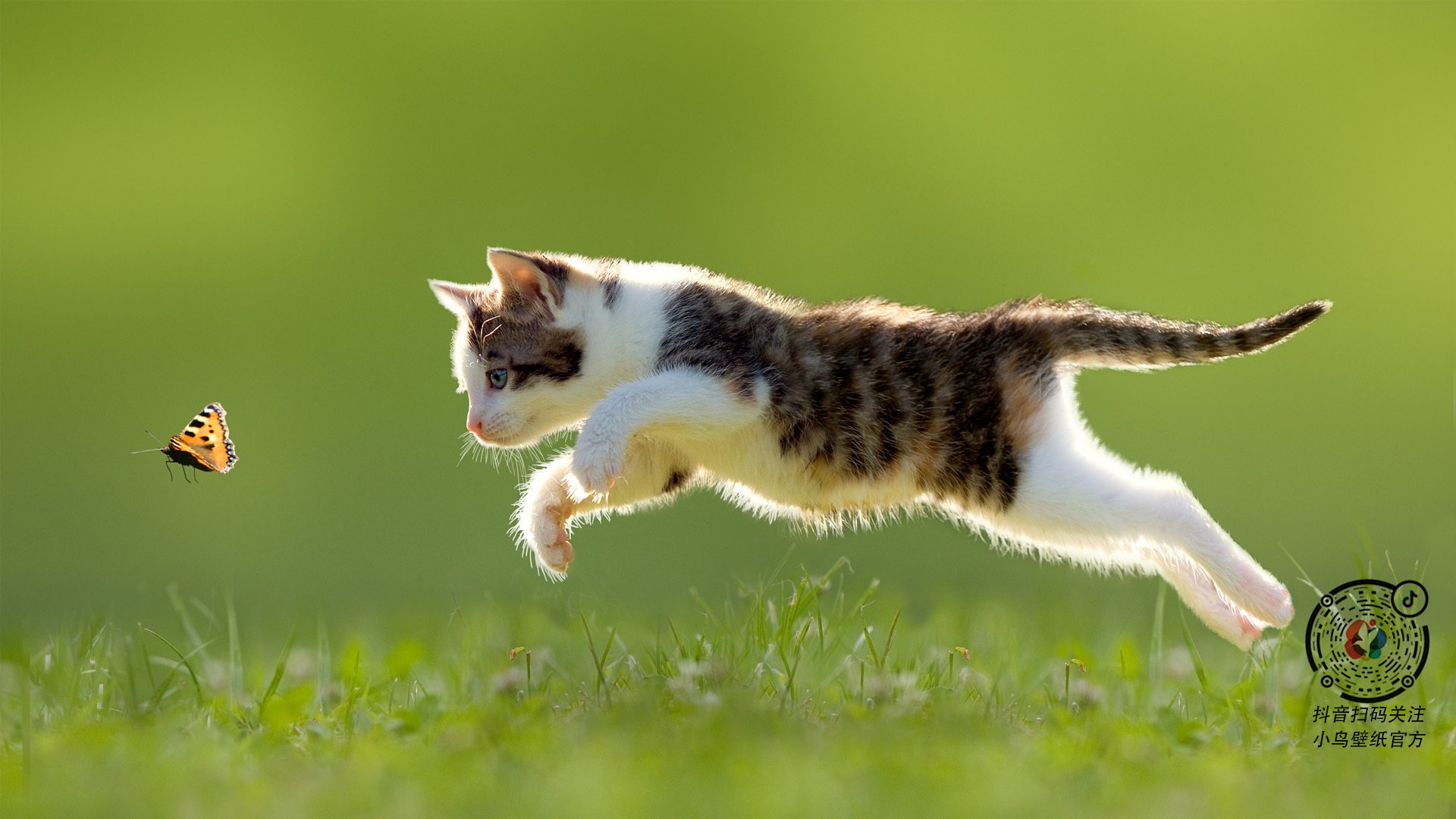 石油人体能储备充足，石油人体能储备充足的原因