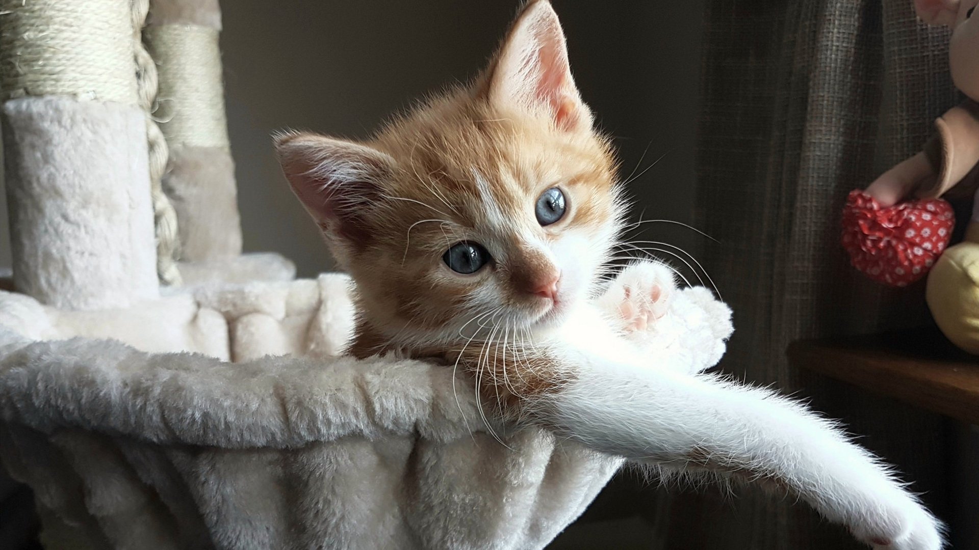 NBA球员训练强度调控,nba球员训练方式