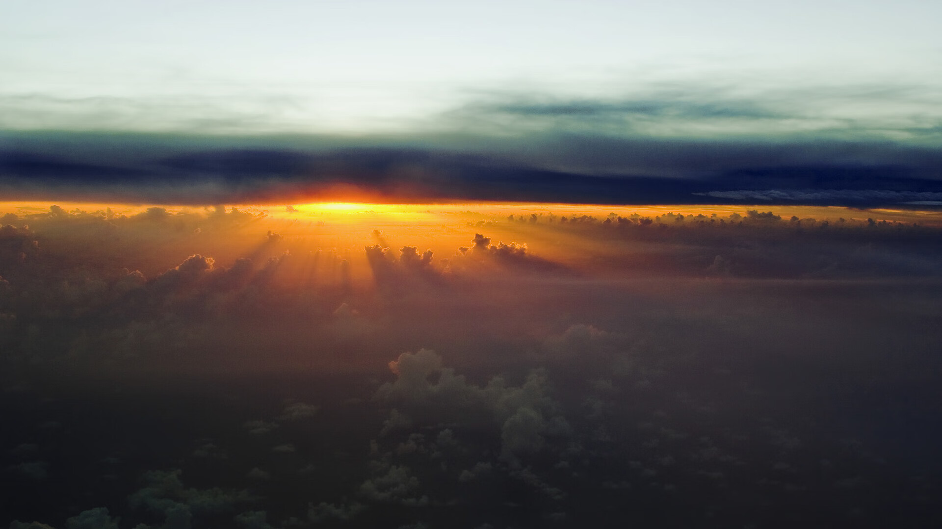 体育赛事品牌建设中的用户参与机制,体育赛事品牌打造