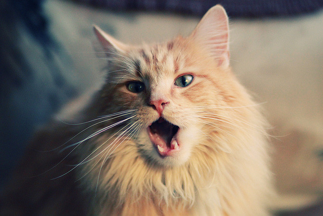 九游下载官网-CBA赛季关键比赛悬念迭起，cba球队赛季