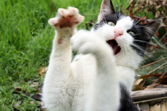 九游登录中心-得分手的无球能力是否被低估，得分手的无球能力是否被低估了