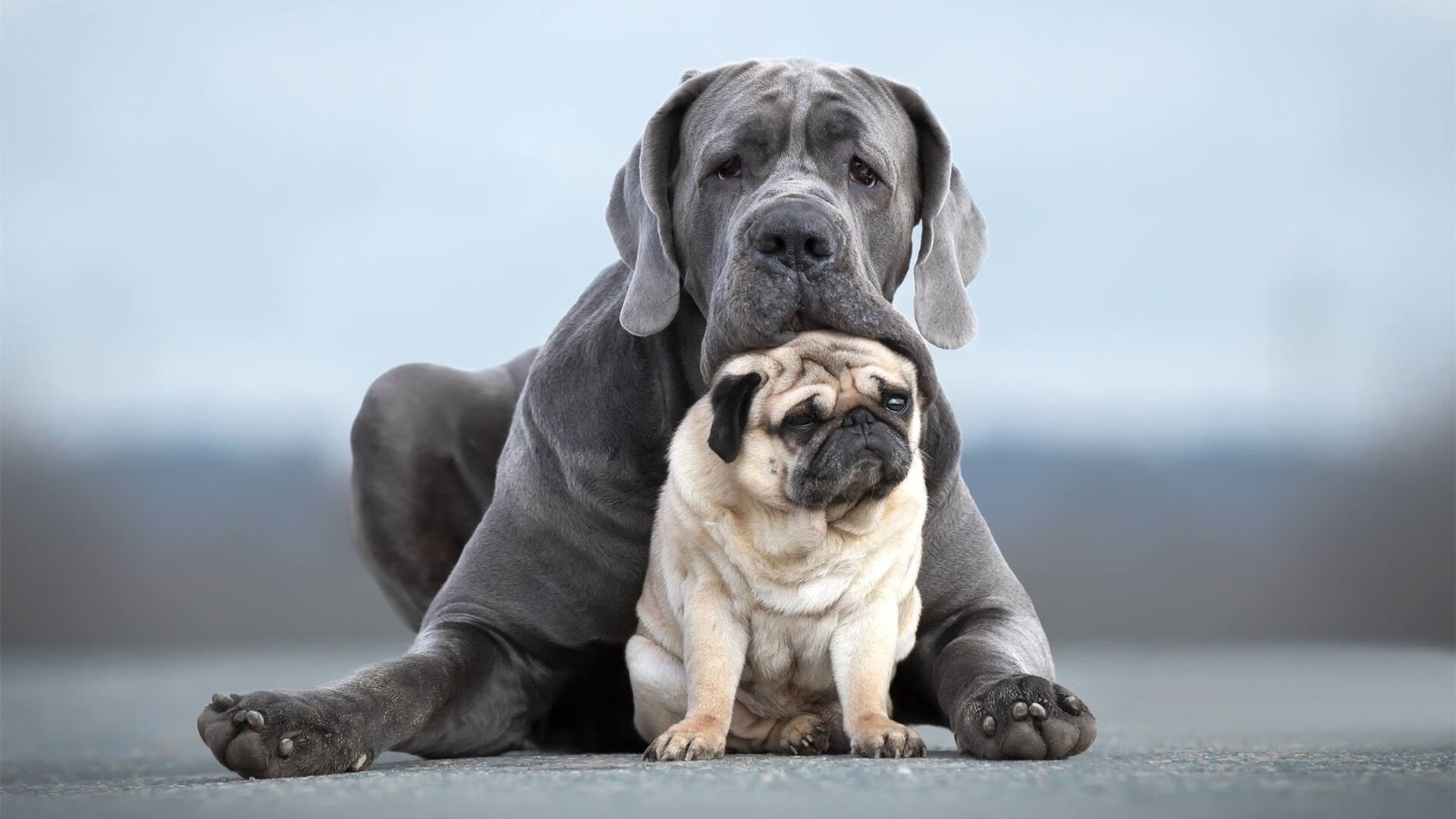 安东·李恩：他以出色的视野和精准的传球，帮助全黑队打破僵局