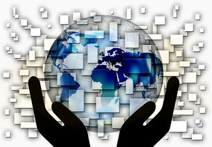 九游娱乐-中国篮球教练员战术创新与应用案例分析，篮球教练基本战术