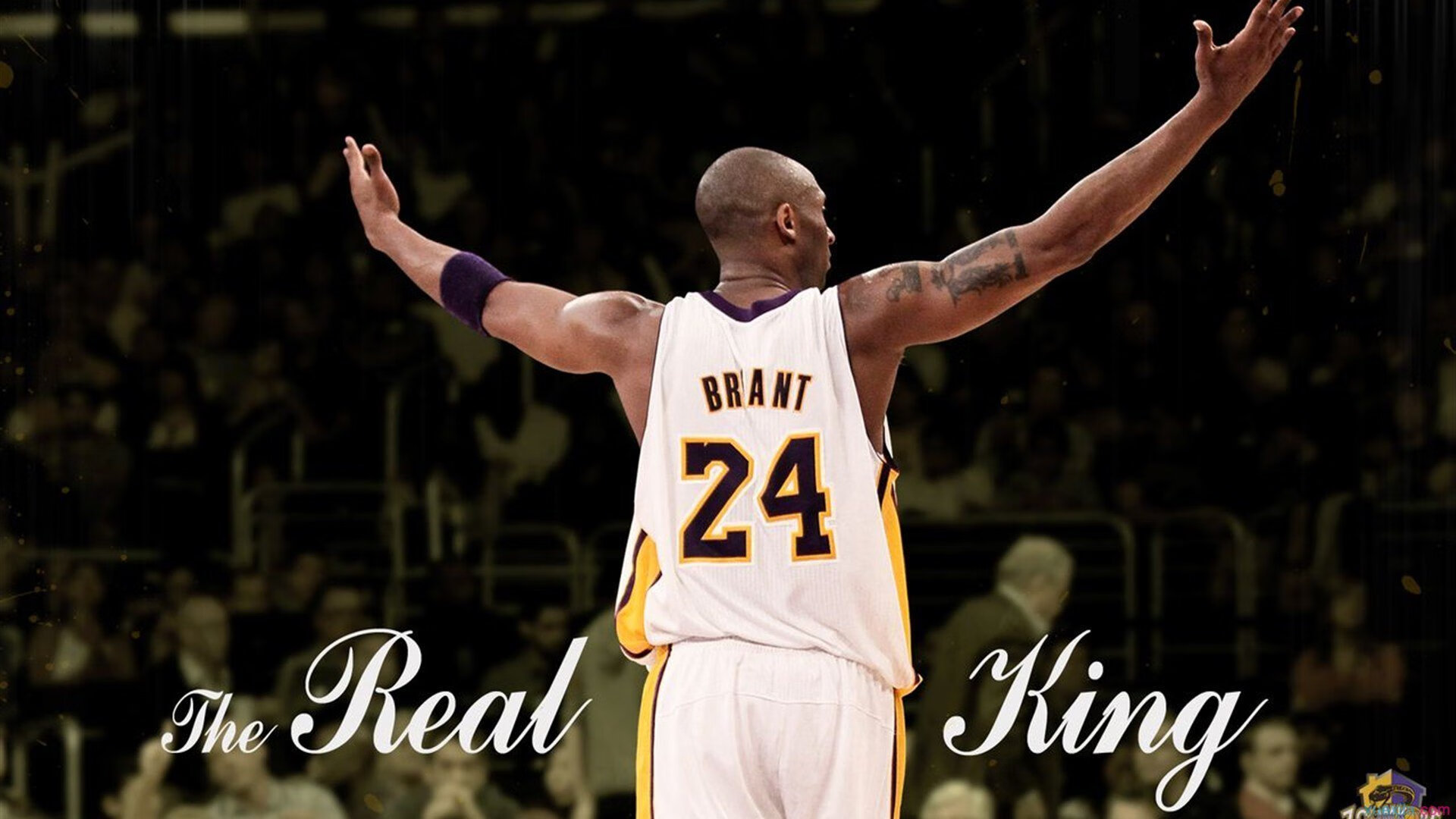 各国足球青训政策对比：推动联赛繁荣的关键，国外足球青训体系